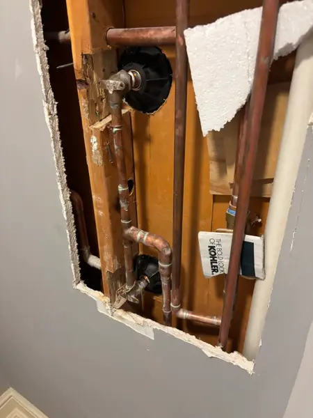 Walk-In Shower Plumbing Renovation in Staten Island — bathroom renovation